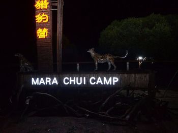 Mara Chui Camp Ololaimutiek Exterior foto